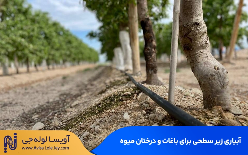 آبیاری زیر سطحی برای باغات و درختان میوه