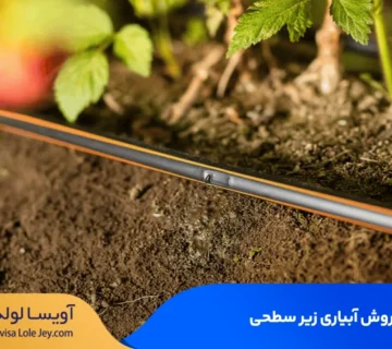جدیدترین روش آبیاری زیر سطحی