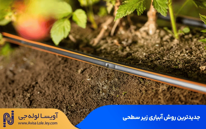 جدیدترین روش آبیاری زیر سطحی