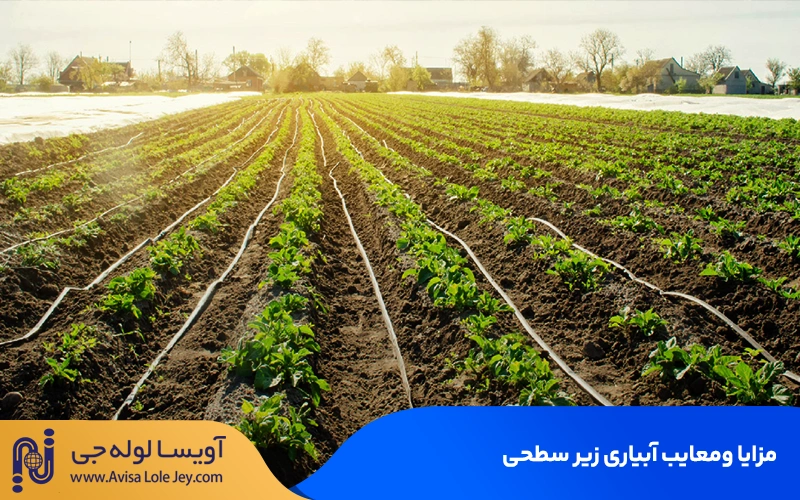 مزایا و معایب آبیاری زیر سطحی